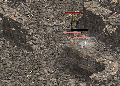 사본 -기란1층.png